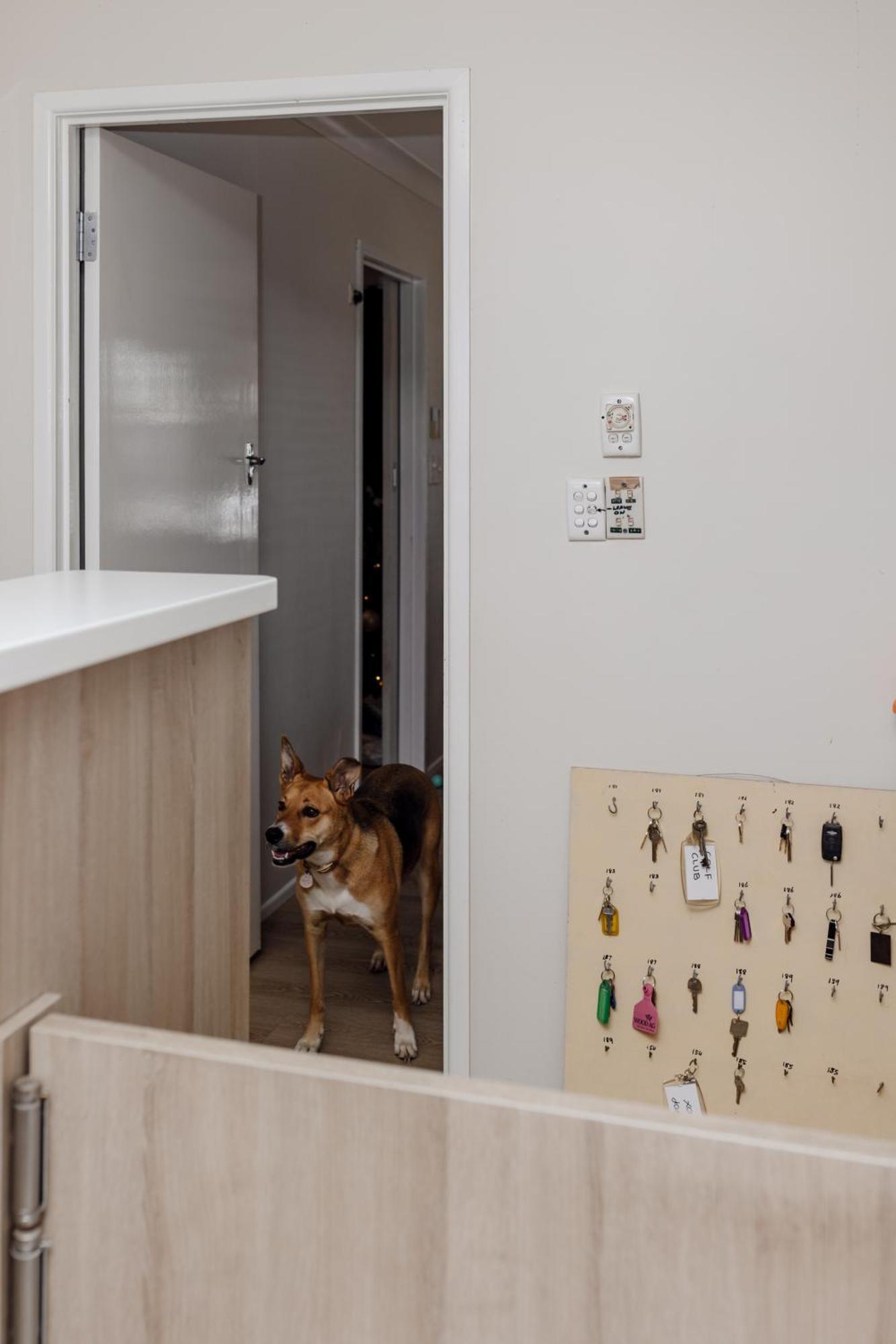 Starline Motor Inn Miles Екстериор снимка